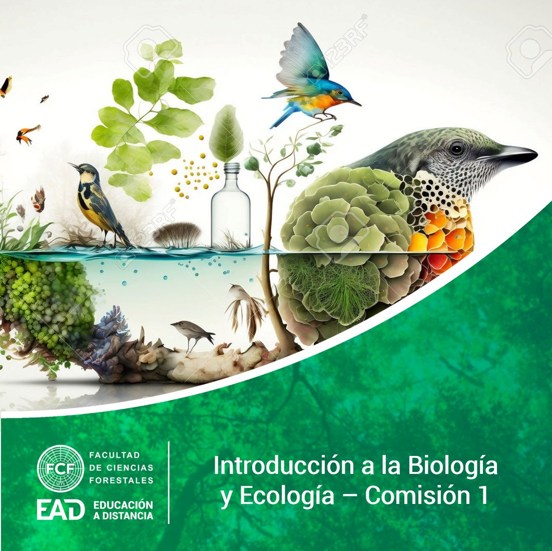 Introducción a la Biología y Ecología - Comisión 2