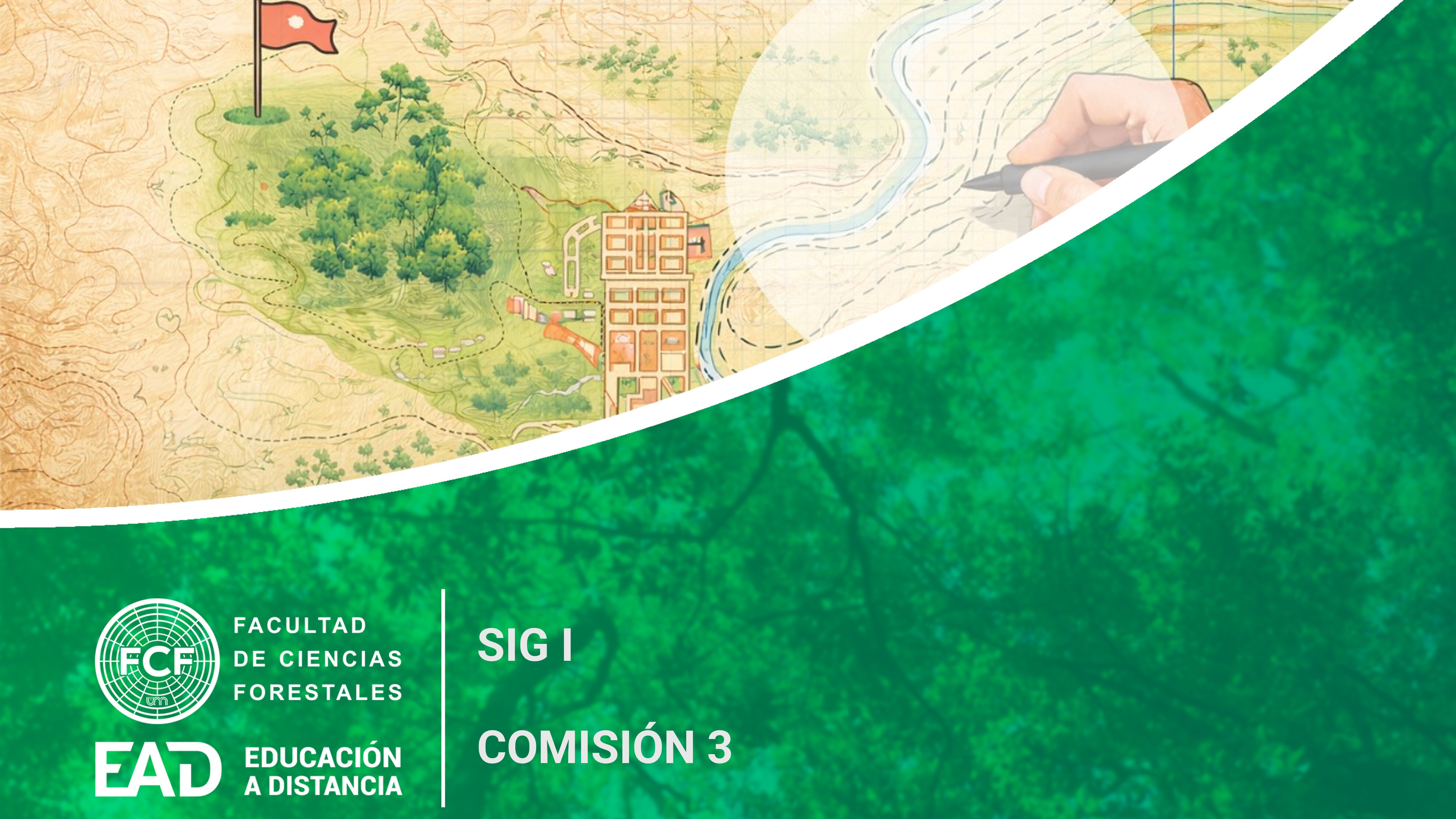 Sistemas de Información Geográfica I - Comisión 3