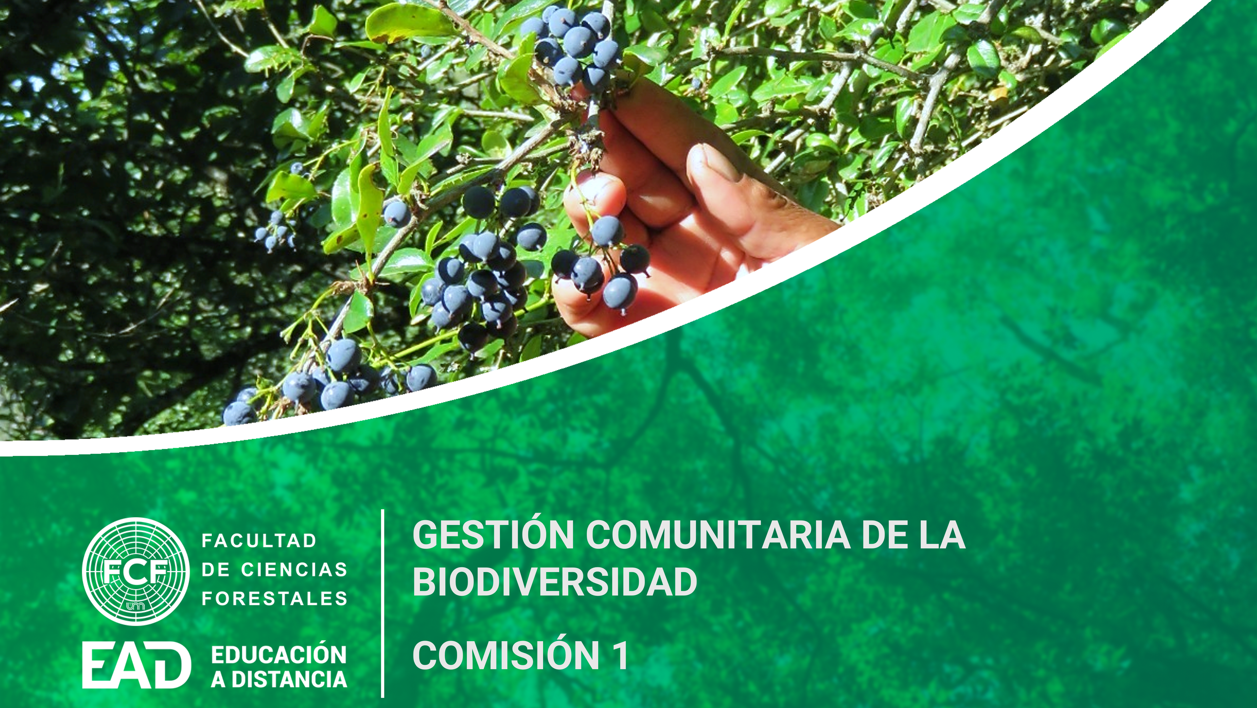 Gestión Comunitaria de la Biodiversidad - Comisión 1