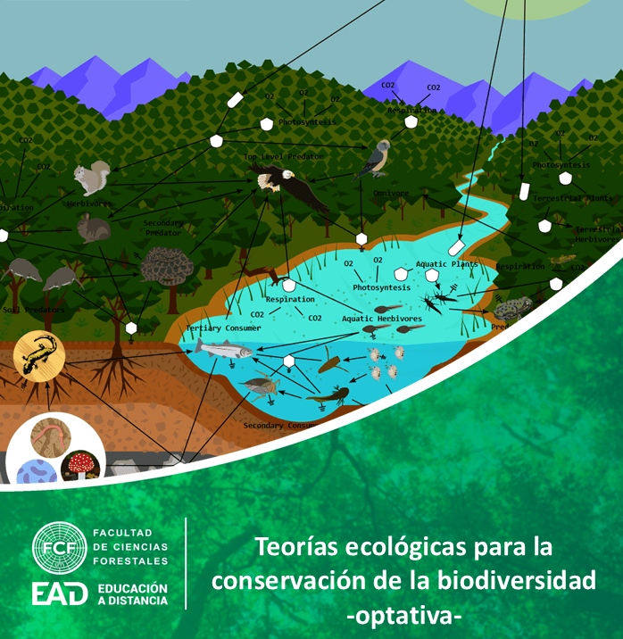 Teorías ecológicas para la conservación de la biodiversidad