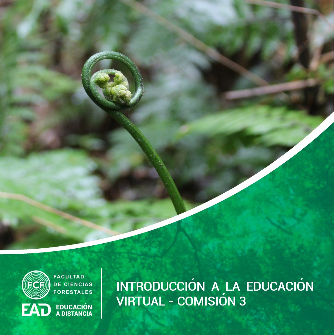 Introducción a la Educación Virtual LCDE - Comisión 3