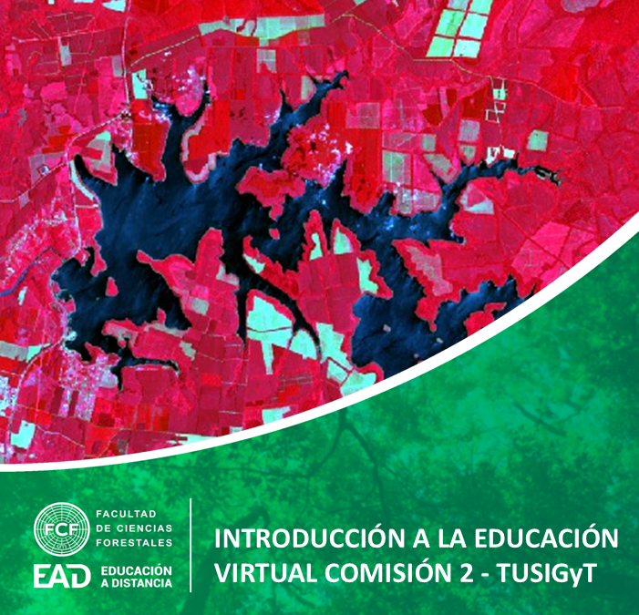 Introducción a la Educación Virtual - TUSIGyT - Comisión 2